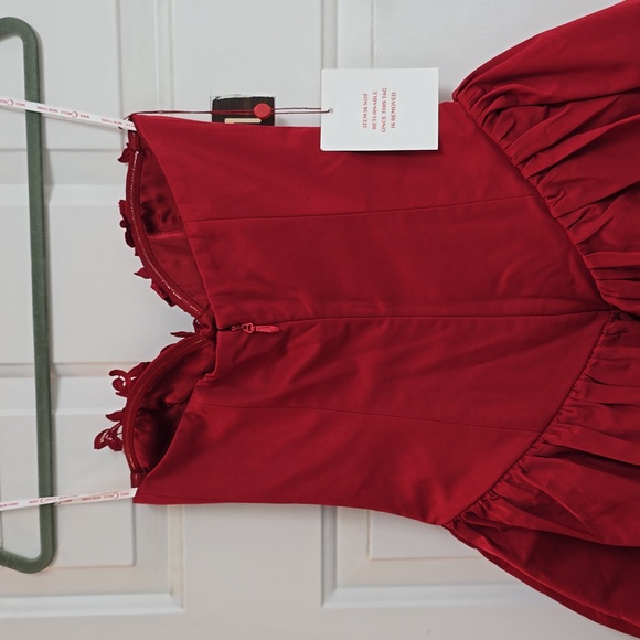 Miss Circle Sacha Red Lace Drop Waist Corset Puffy Mini Dress - Picture 10 of 15